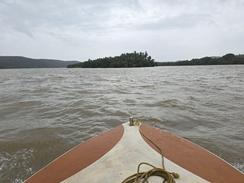 Goa: Backwater Kayaking Tour - Safety, English Guidance, and the Small-Group Factor