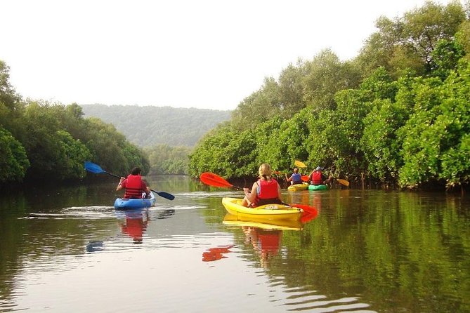 Goa Kayaking in Spike's River - Key things that make this Goa river kayak different