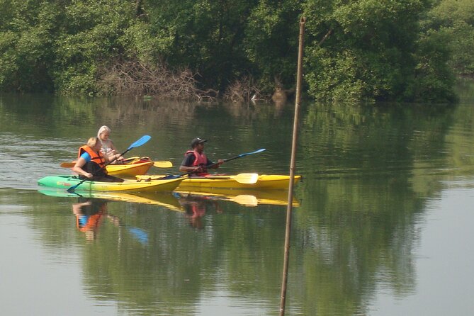 Goa Kayaking Spike's Salonia Backwaters Kayaking Experience - Why Salonia Backwaters Feels Different Than Typical Goa Paddling