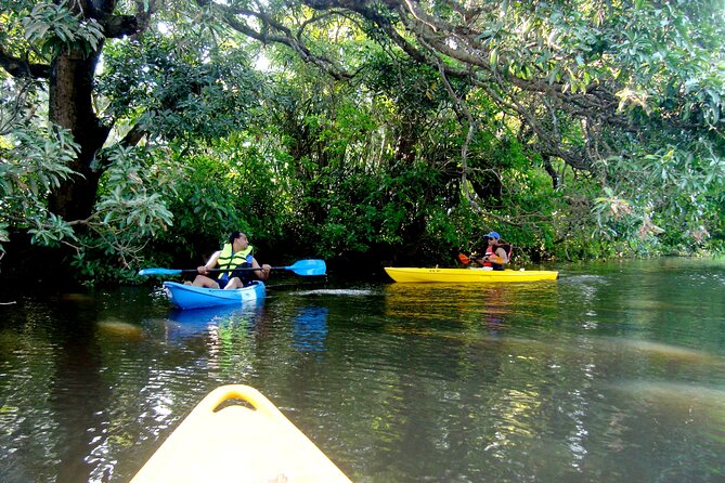Goa Kayaking Spike's Salonia Backwaters Kayaking Experience - Price and Value: Is $61.35 a Good Deal?