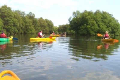 Goa Kayaking Spike’s Salonia Backwaters Kayaking Experience
