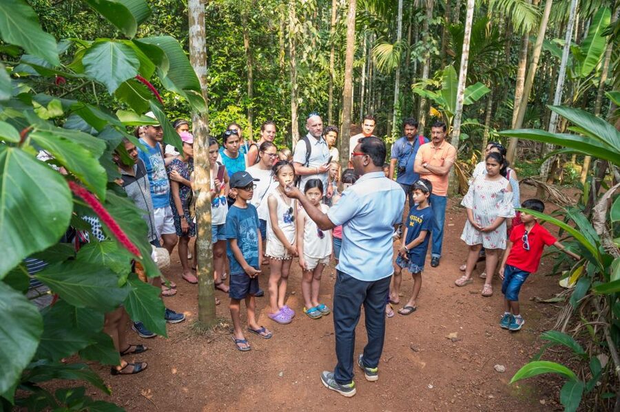 Goa Shore excursions : All inclusive Small Group tour - Should You Book This Goa Shore Excursion?