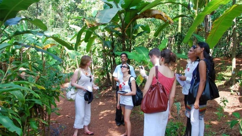 Goa Shore Excursions: Highlights of Goa - Tropical Spice Plantation: Lunch, Medicinal Uses, and a Family-Run Feel