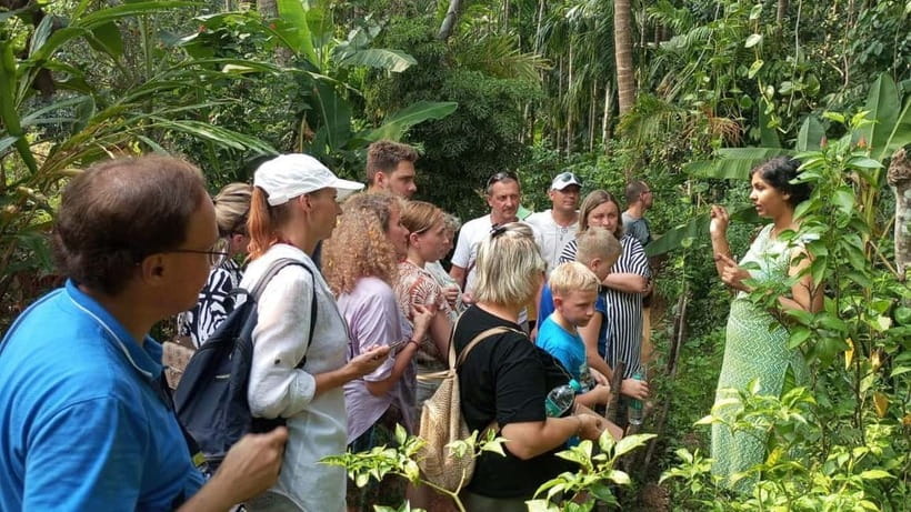 Goa Shore Excursions: Highlights of Goa - Who Should Book This Highlights of Goa Tour