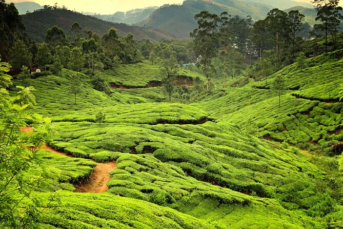 God's Own Country - KERALA (8 Days private trip) - The houseboat night: what you should expect (and how to use it well)