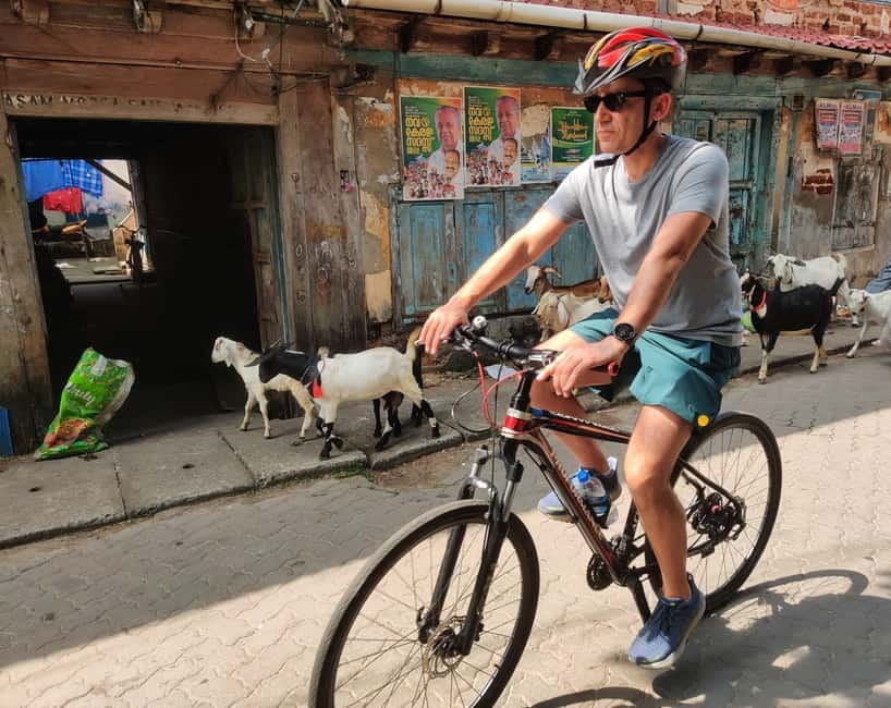 Good Morning Kochi Bicycle Tour - Key things I’d highlight before you go