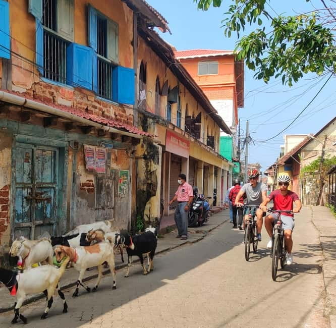 Good Morning Kochi Bicycle Tour - Price and Value: Is $23 for 1.5 Hours a Smart Deal?