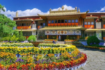 Guided 6 hrs Dharamshala’s Tibetan monasteries & Nunnery tour