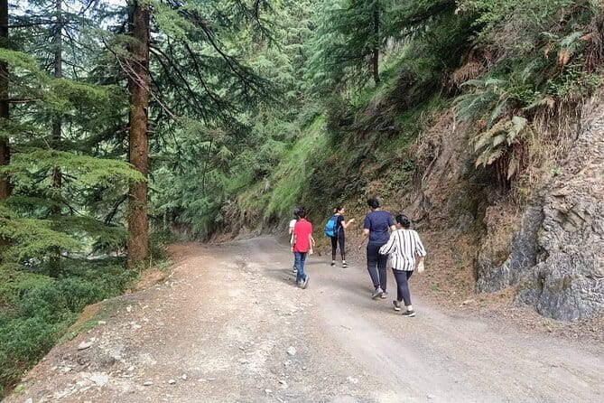 Guided Kora Circuit & Walking Tour Around McLeod Ganj - Pace and timing: what a 2 to 3 hour walk feels like