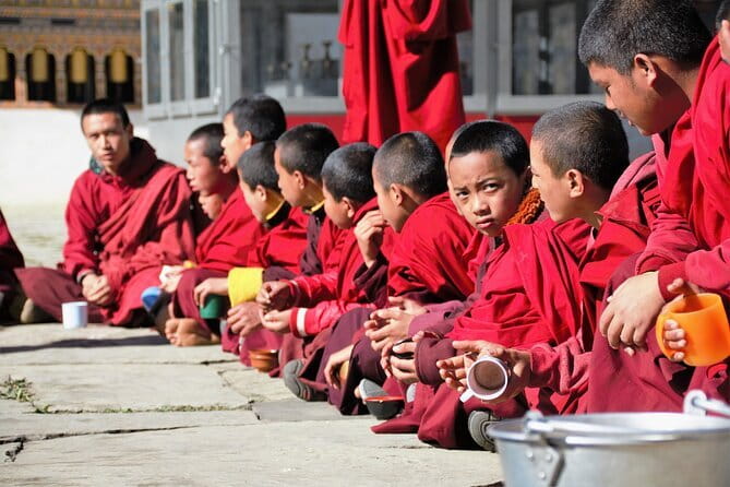 Guided Tour to Palampur-Monasteries, Temple & Tea Gardens visit - From Dharamsala pickup to Palampur tea country