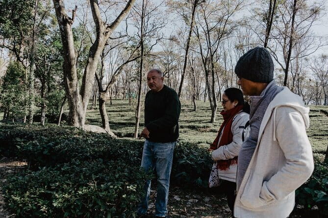 Guided Tour to Palampur-Monasteries, Temple & Tea Gardens visit - McLeodganj Market and the wider Dharamsala sights