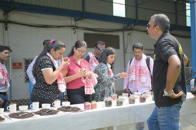 Guwahati Tea Garden tour @ Amchong - Amchong Tea Estate near Guwahati: why this trip works