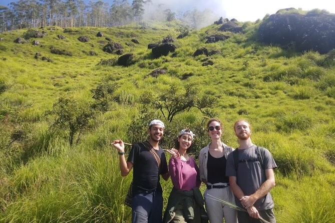 Half Day Hiking in Munnar Trekking Tour - Tea hills in 4 to 5 hours, how this half-day trek works