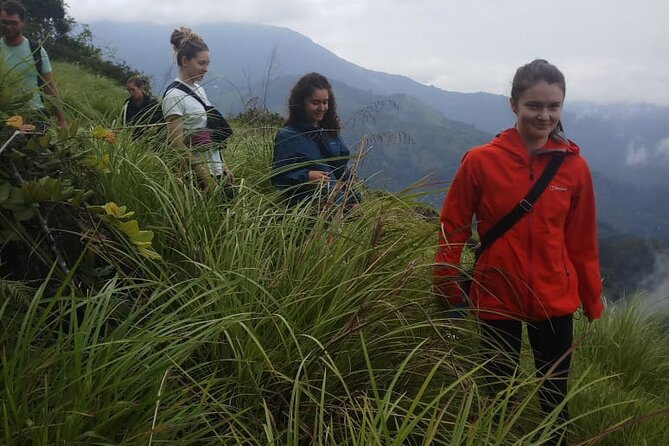 Half Day Hiking in Munnar Trekking Tour - Where you meet and where you end, so you do not waste time
