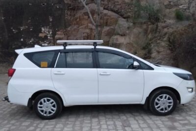 Half-Day Private Sightseeing tour to Wildlife SOS from Agra