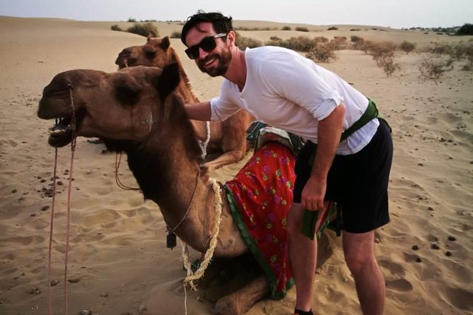 Half-Day Sunset Camel Safari in Rajasthan - Key highlights you’ll care about