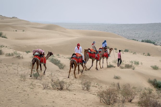 Half Day Sunset Camel Safari Jaisalmer - Key highlights you’ll feel on the ground