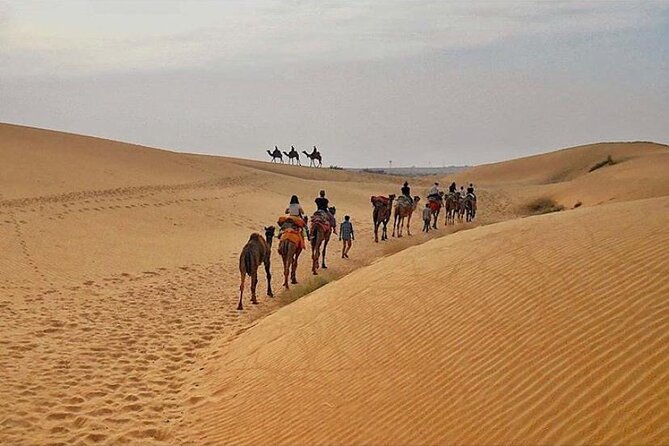 Half Day Sunset Camel Safari Jaisalmer - Timing in Jaisalmer: start times and why the evening runs long