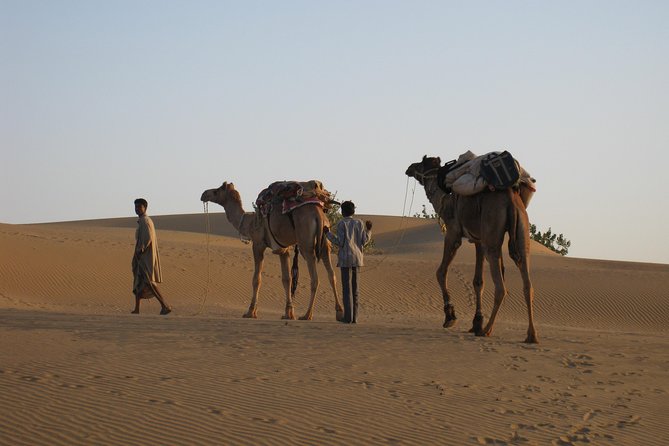 Half-Day Sunset Desert Safari - Camel Ride to Isolated Dunes, Plus a Village Along the Way