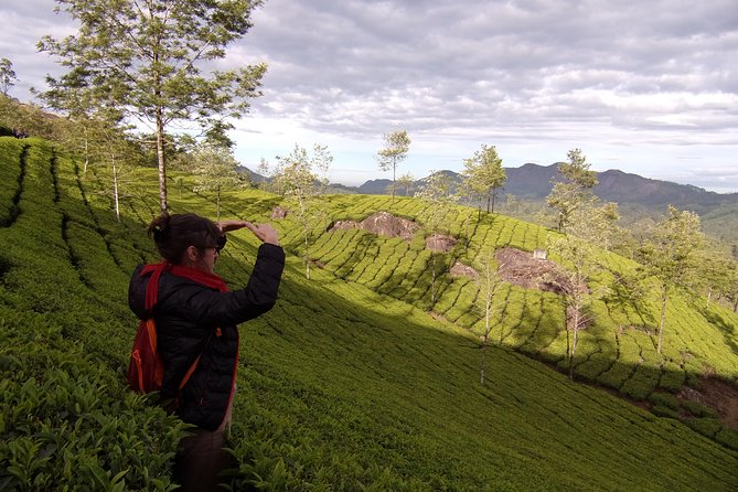Half day trekking (munnar valley Trekking & Tours ) - The first climb: from about 1530 m toward the tea viewpoint