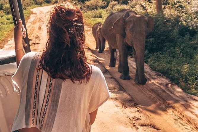 Half Day Udawalawe Safari from Kalutara (Entrance + Lunch) - Key things I’d pay attention to