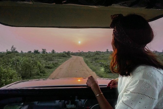 Half Day Udawalawe Safari from Kalutara (Entrance + Lunch) - Bird life in the wetlands and scrub, not just elephants