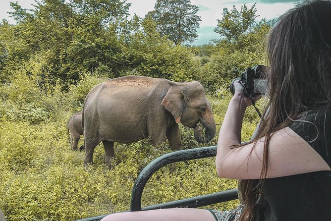 Half Day Udawalawe Safari from Kalutara (Entrance + Lunch) - Price and value for $190 per person from the coast