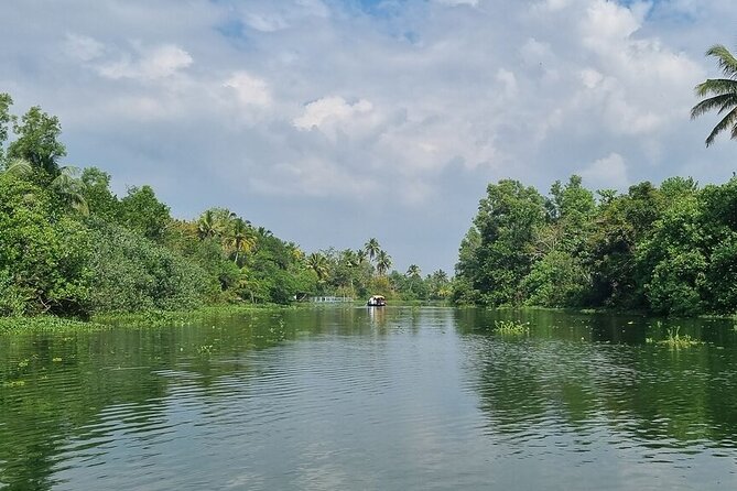 Half Day Village Backwater Eco Country Boat Cruise :Group Tour from Fort Cochin - The vegetarian lunch: what you actually get, and why it matters