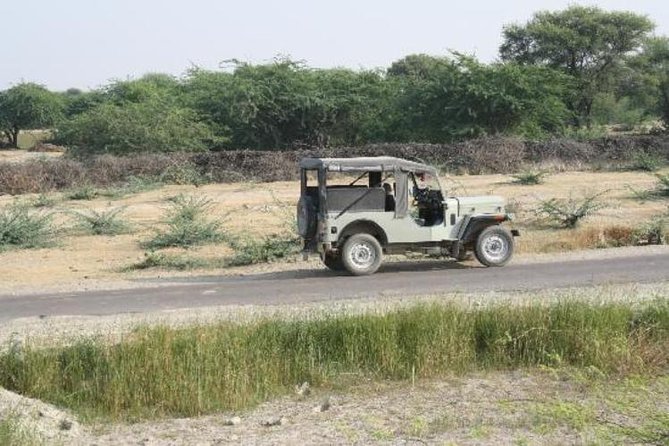 Half Day Village Safari - Jeep pickup and timing: how to make the logistics painless
