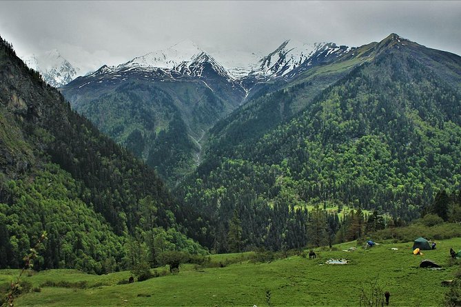 Har Ki dun Trek by Himalaya Shelter - Day 2: Sankri to Osla (2,700 m) and the first altitude feel