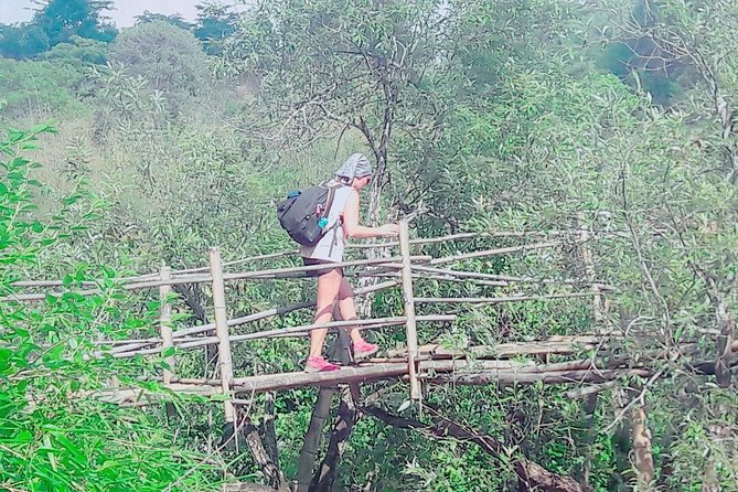 Hello, who like to make fantastic trek with the most experienced guide in Kalaw. - Kalaw Trek: Why This Feels More Local Than You Expect