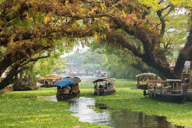Heritage & Cultural Walk of Alleppey (Guided Walking Tour) - Key highlights you will care about