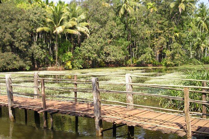 Highlights of South Goa with Spice Plantation Tour (Guided Fullday Tour by Car) - Key Points at a Glance