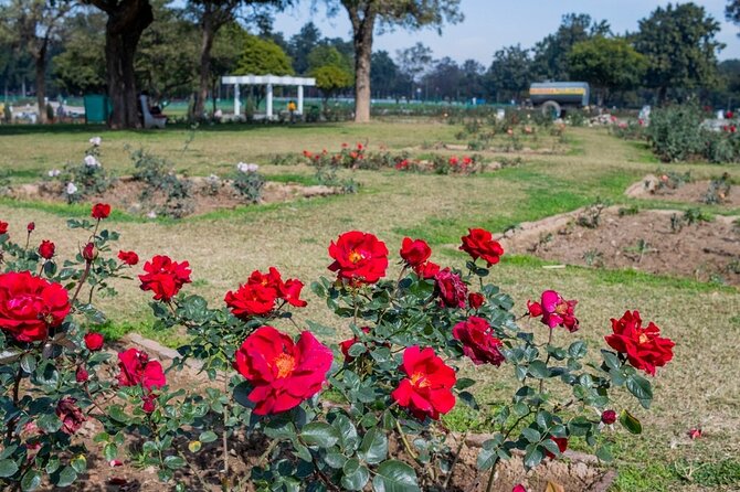 Highlights of the Chandigarh (Guided Half Day City Tour) - Key Stops That Give You the Chandigarh “Essentials”
