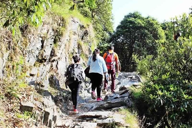 Hiking Day Tour to Triund from Dharamshala - Key Things I Think You’ll Appreciate