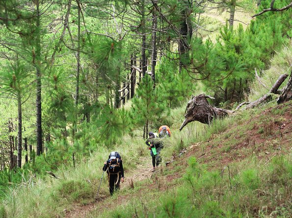 Hiking Day Tour to Triund from Dharamshala - Coming Back Down: Same Route or the Bhagsu Nag Temple Option