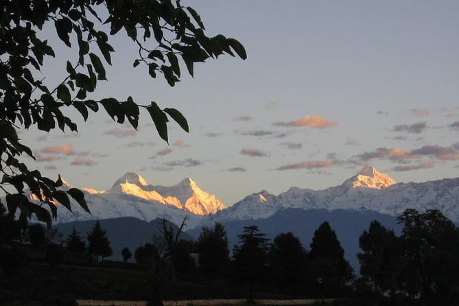 Himalayan village walk to Khati Uttarakhand - Day 5: Dau and Jaikhuni for high altitude birds, then Kausani viewpoints