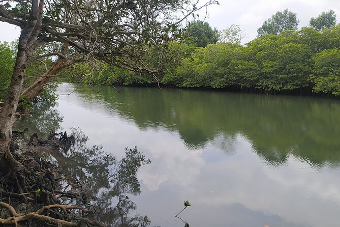 Hinterland Cycling Tour, Havelock - Local factories and plantations: seeing work, not just scenery