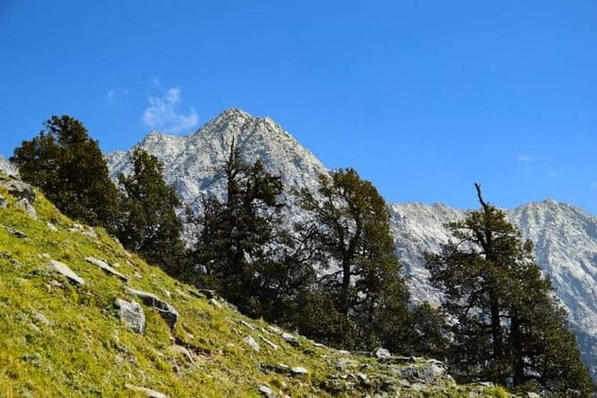 Indrahar Pass Trek with Manu Adventures India - Entering the Dhauladhar: McLeodganj to Triund