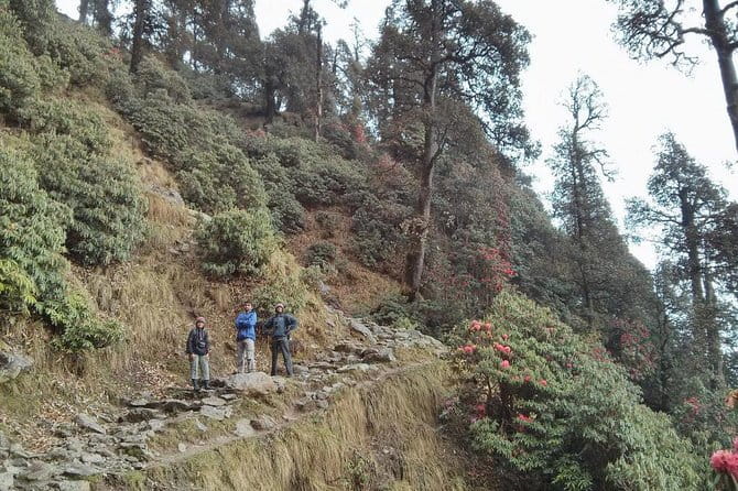 Indrahar Pass Trek with Manu Adventures India - Tips to make Indrahar Pass feel smooth, not scary