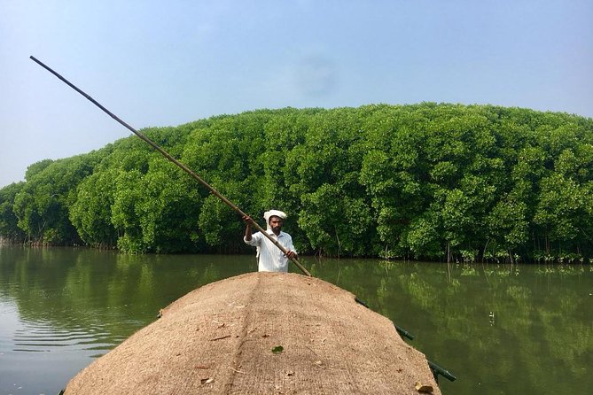 Into the Mangroves: Calicut Mangrove Trail by Tyndis - Key highlights that make this mangrove trail special