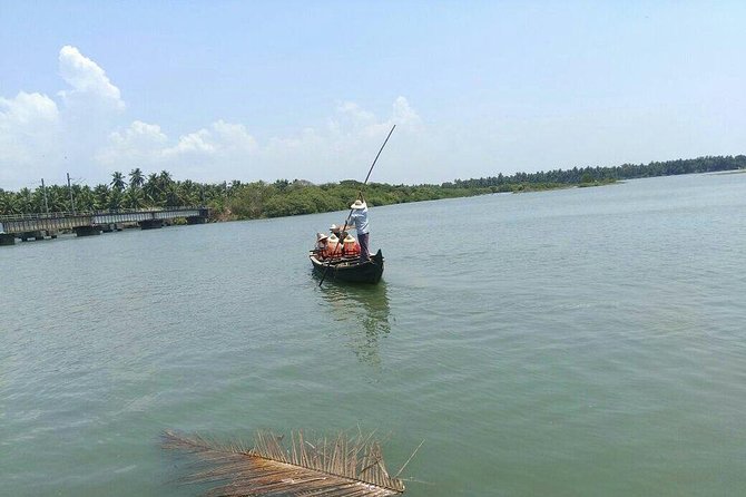Into the Mangroves: Calicut Mangrove Trail by Tyndis - The mangrove trail on foot: how you actually spot 9 species