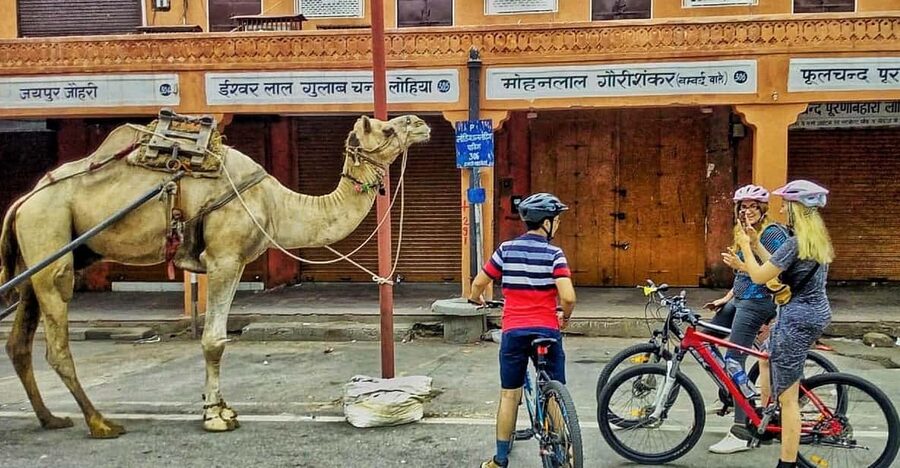 Jaipur: 3-Hour Morning Bike Tour of Jaipur Old City - Krishna temple ceremony at Govind Dev Ji: spiritual energy in the middle of crowds