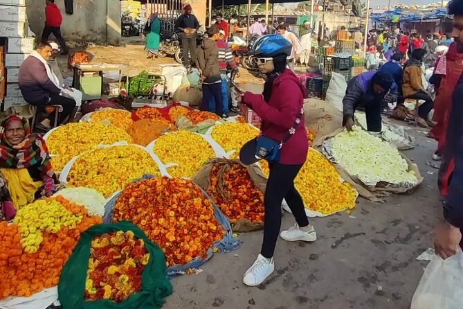 Jaipur Cultural Cycling Tour - Price and what you get for $37 in 2 to 3 hours