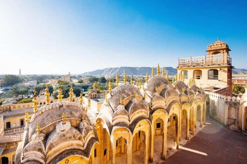 Jaipur: Elephant Activities Feed, Paint & Ride with Pickup - Ranthambore National Park on the Longer Option