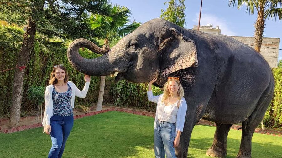 "Jaipur Elephant Experience: Bond, Connect, and Learn" - Elephant shower with a hose: cool water and big smiles