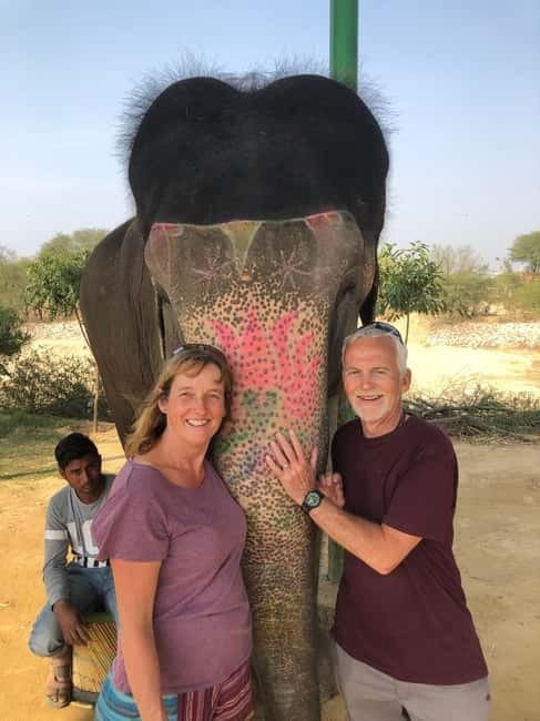 Jaipur: Elephant Interaction Tour - Key Highlights You Will Actually Care About