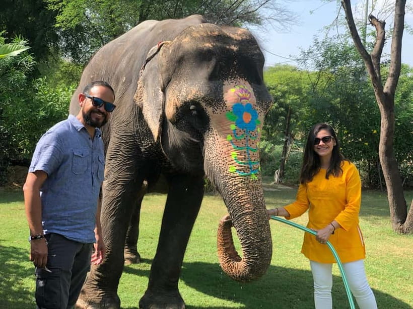 Jaipur: Elephant Interaction Tour - Jaipur Elephant Interaction Tour: A Welfare-First Encounter in 4 Hours