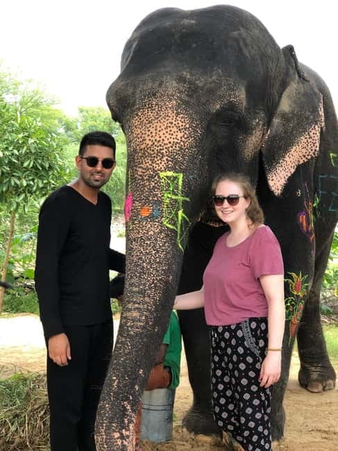 Jaipur: Elephant Interaction Tour - Feeding the Elephants: Favorite Foods and What to Watch