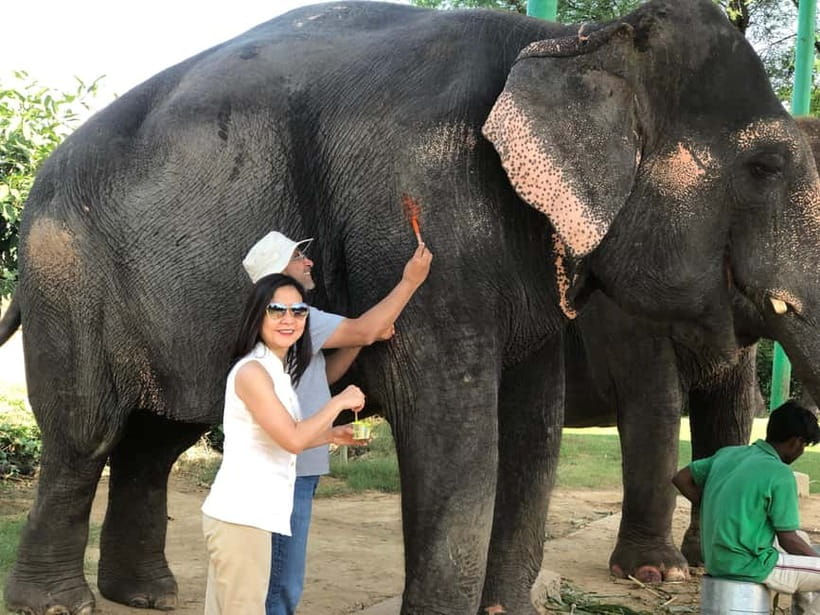 Jaipur: Elephant Interaction Tour - Walking in the Village: No Rides, More Welfare Awareness